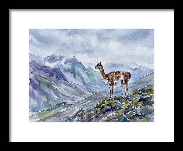 Guanaco In Majestic Landscape