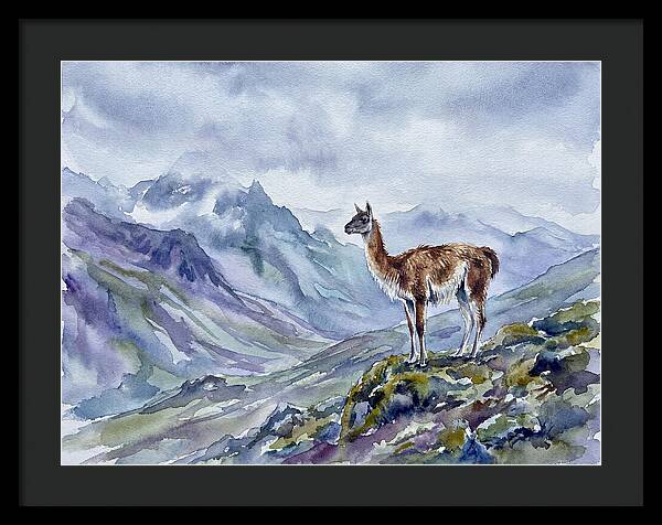 Guanaco In Majestic Landscape