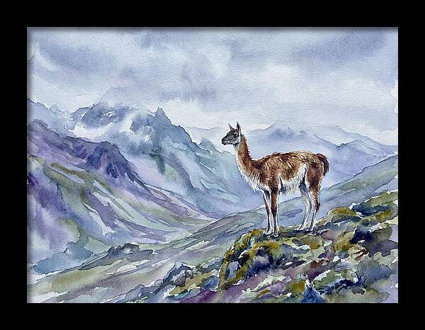 Guanaco In Majestic Landscape