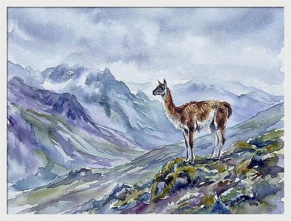 Guanaco In Majestic Landscape
