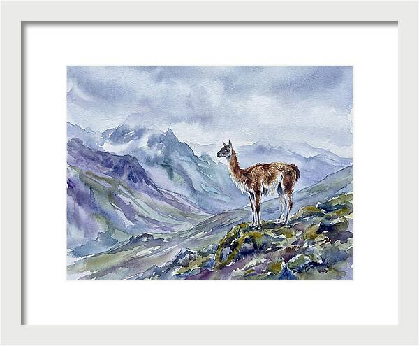 Guanaco In Majestic Landscape