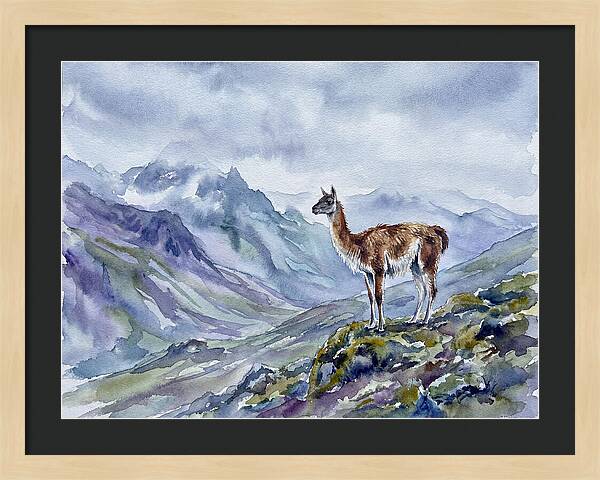 Guanaco In Majestic Landscape