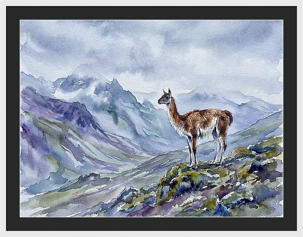 Guanaco In Majestic Landscape