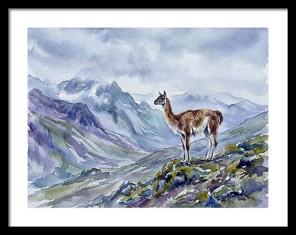 Guanaco In Majestic Landscape