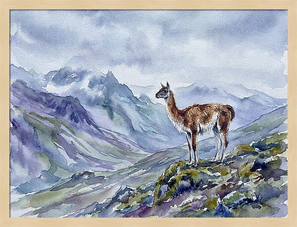 Guanaco In Majestic Landscape
