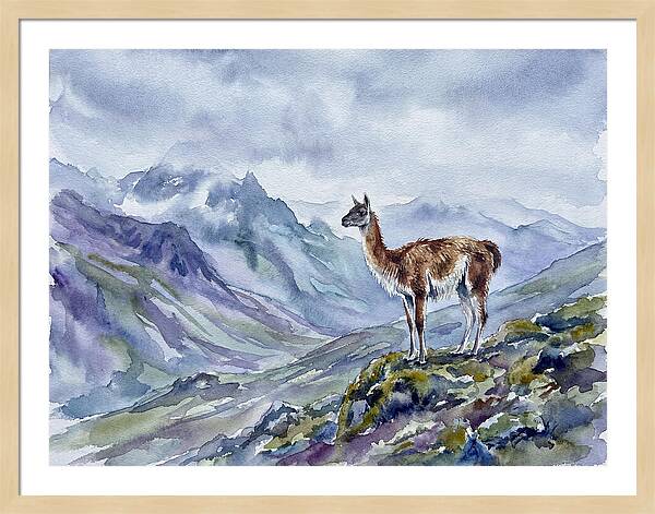 Guanaco In Majestic Landscape