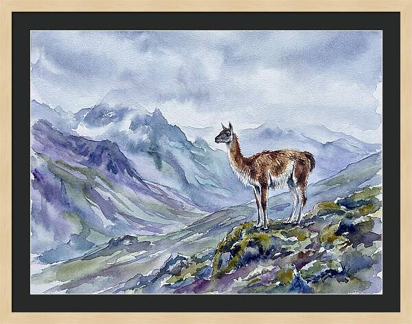 Guanaco In Majestic Landscape