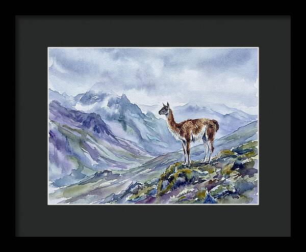 Guanaco In Majestic Landscape