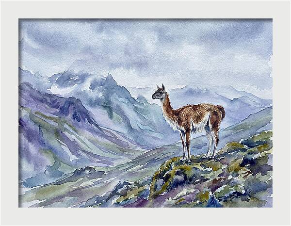 Guanaco In Majestic Landscape