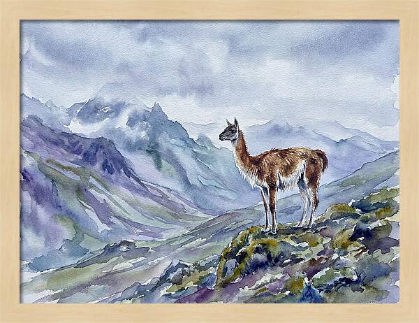 Guanaco In Majestic Landscape