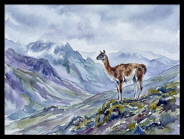 Guanaco In Majestic Landscape