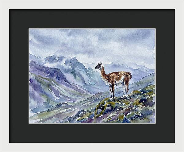 Guanaco In Majestic Landscape