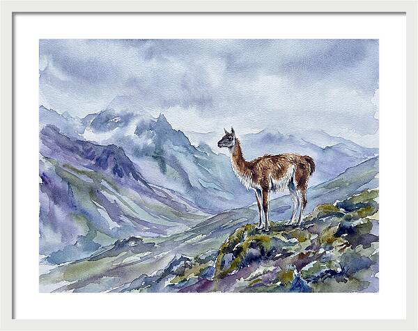Guanaco In Majestic Landscape