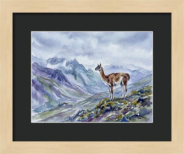 Guanaco In Majestic Landscape