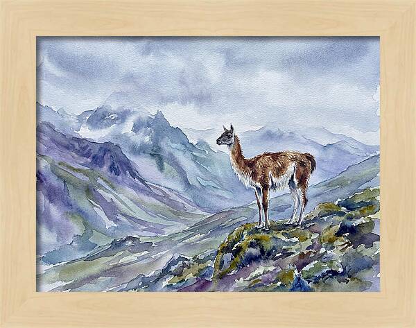 Guanaco In Majestic Landscape