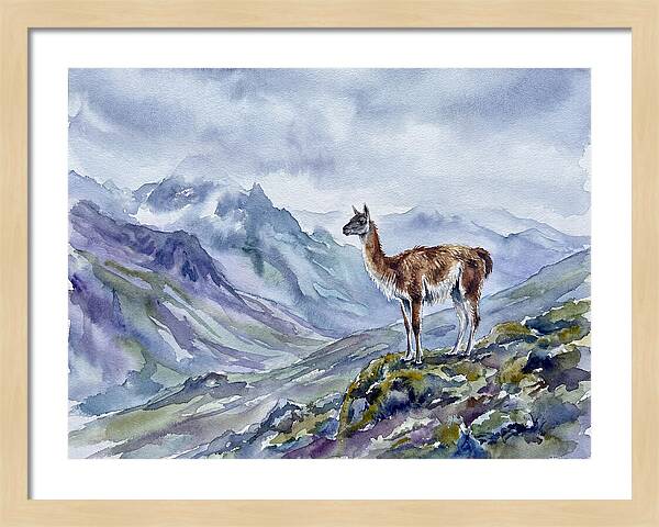 Guanaco In Majestic Landscape