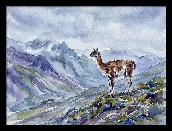 Guanaco In Majestic Landscape