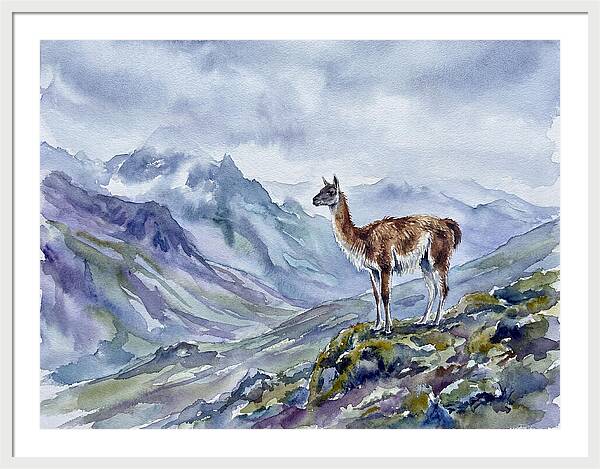Guanaco In Majestic Landscape