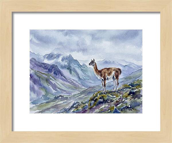 Guanaco In Majestic Landscape