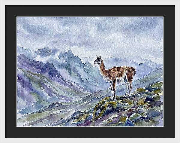 Guanaco In Majestic Landscape