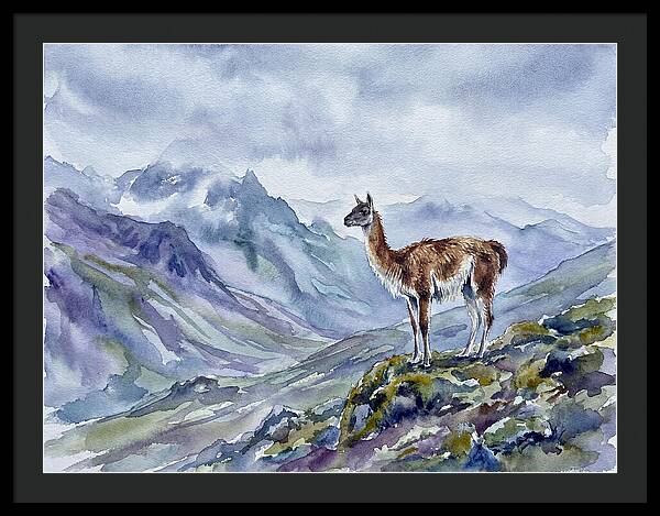 Guanaco In Majestic Landscape