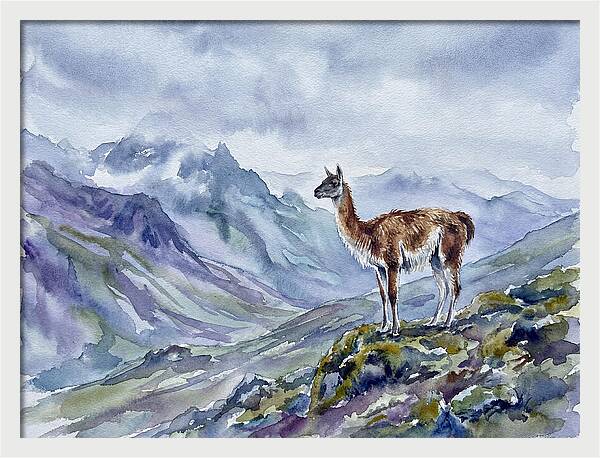 Guanaco In Majestic Landscape