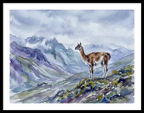 Guanaco In Majestic Landscape