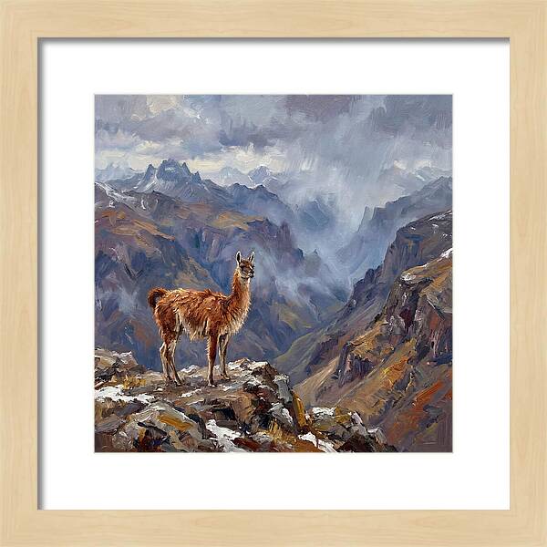 Guanaco In Majestic Mountains