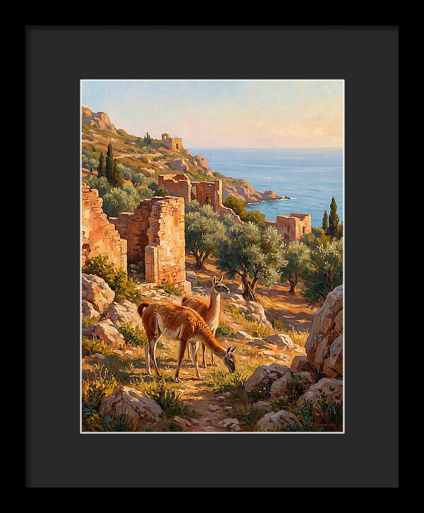 Guanacos By The Mediterranean