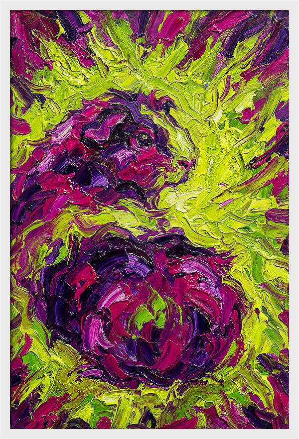 Guinea Pig In Vibrant Colors
