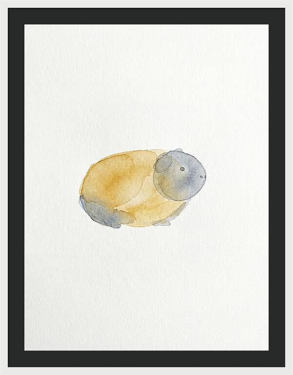 Guinea Pig Watercolor Illustration