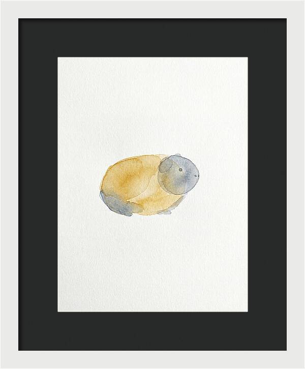 Guinea Pig Watercolor Illustration