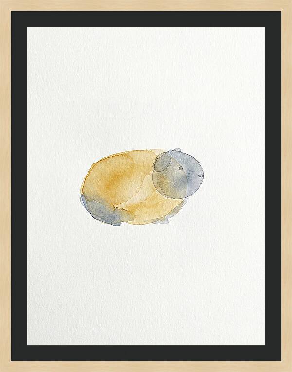 Guinea Pig Watercolor Illustration