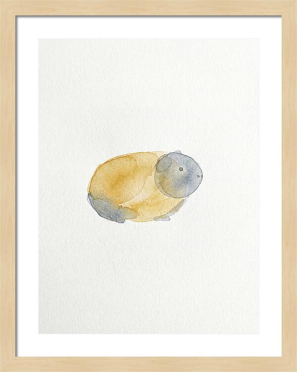 Guinea Pig Watercolor Illustration