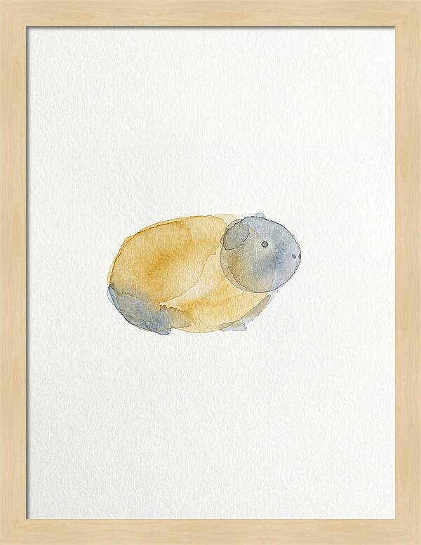 Guinea Pig Watercolor Illustration