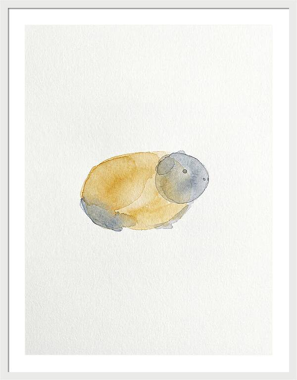 Guinea Pig Watercolor Illustration