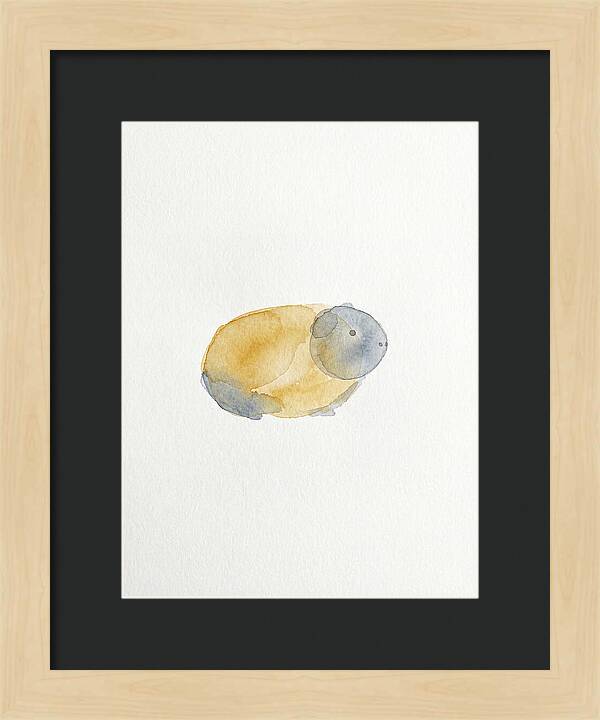 Guinea Pig Watercolor Illustration