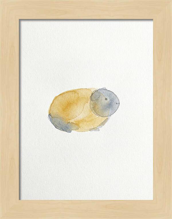 Guinea Pig Watercolor Illustration