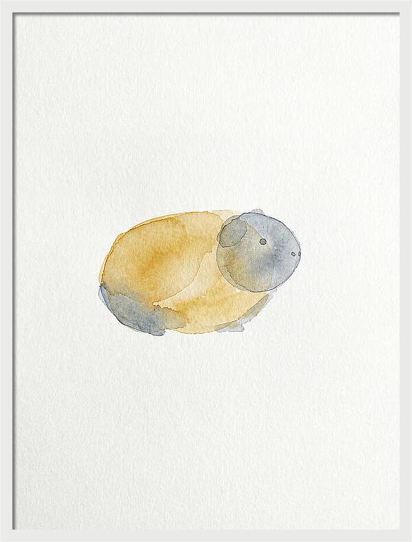 Guinea Pig Watercolor Illustration