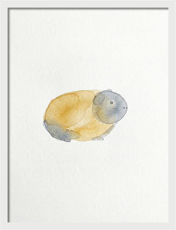 Guinea Pig Watercolor Illustration