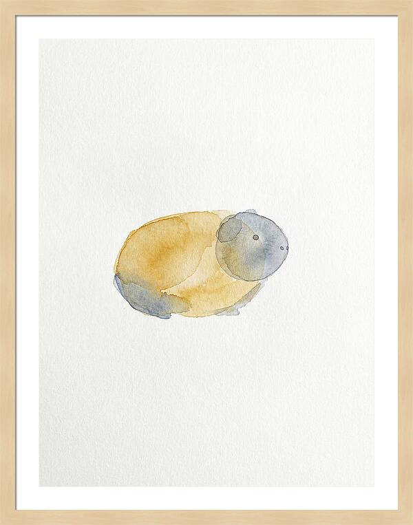 Guinea Pig Watercolor Illustration