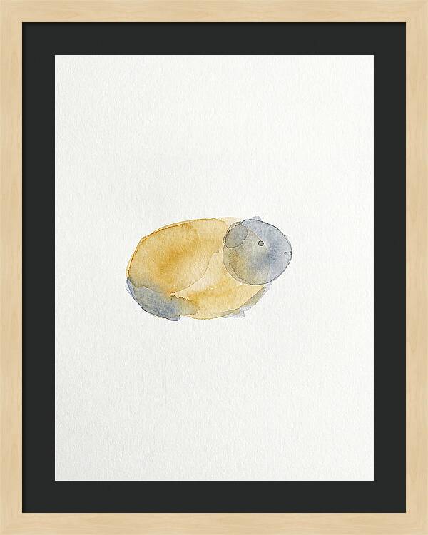 Guinea Pig Watercolor Illustration