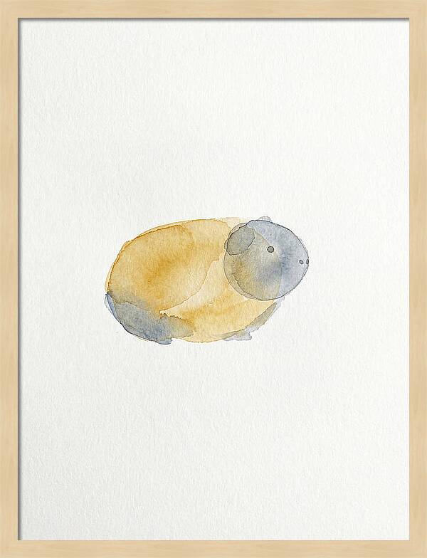 Guinea Pig Watercolor Illustration