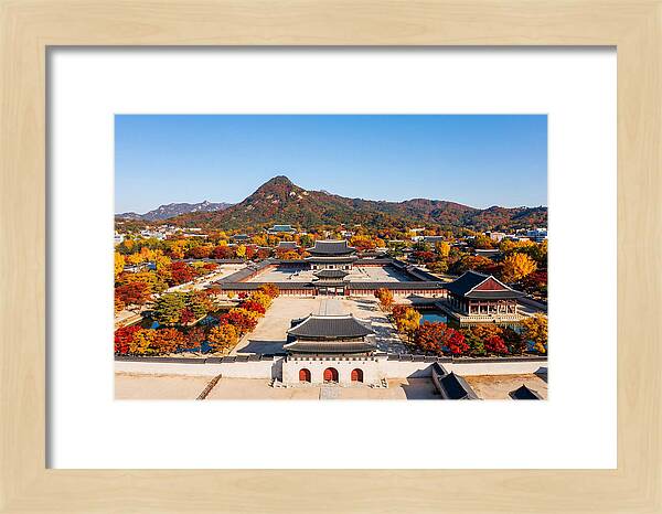 Gyeongbokgung Palace In Fall Colors
