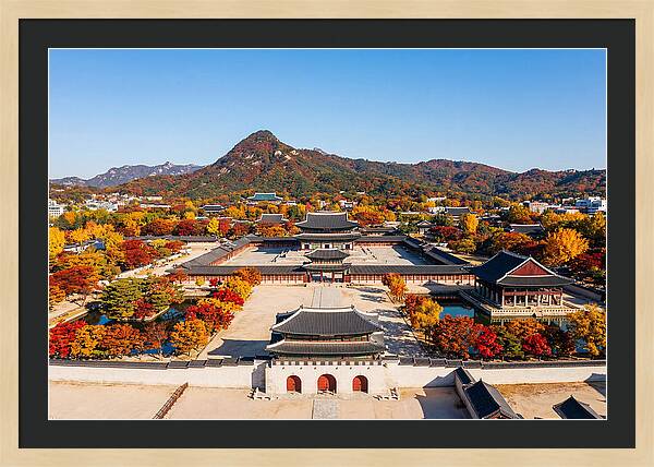 Gyeongbokgung Palace In Fall Colors