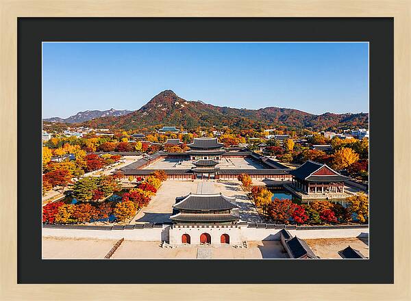 Gyeongbokgung Palace In Fall Colors