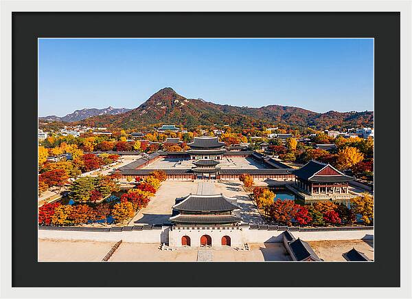 Gyeongbokgung Palace In Fall Colors