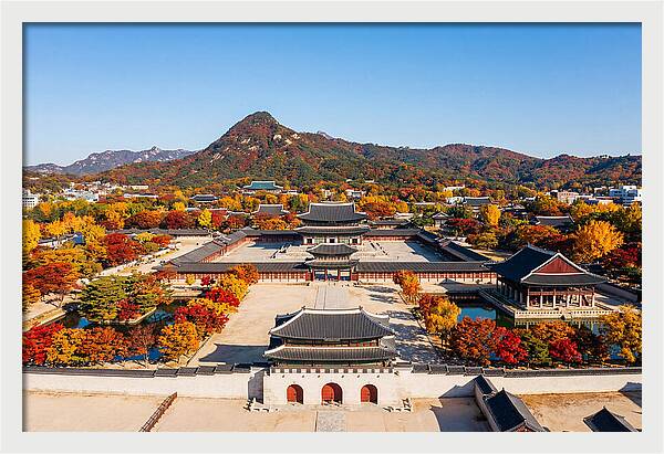Gyeongbokgung Palace In Fall Colors