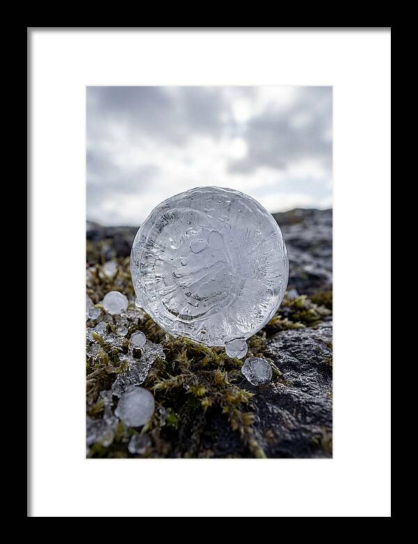 Hailstones On Mossy Rock