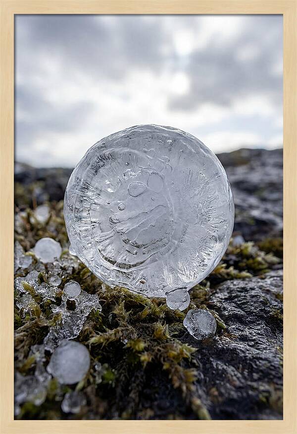 Hailstones On Mossy Rock